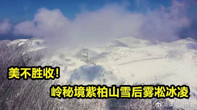 越过篱笆