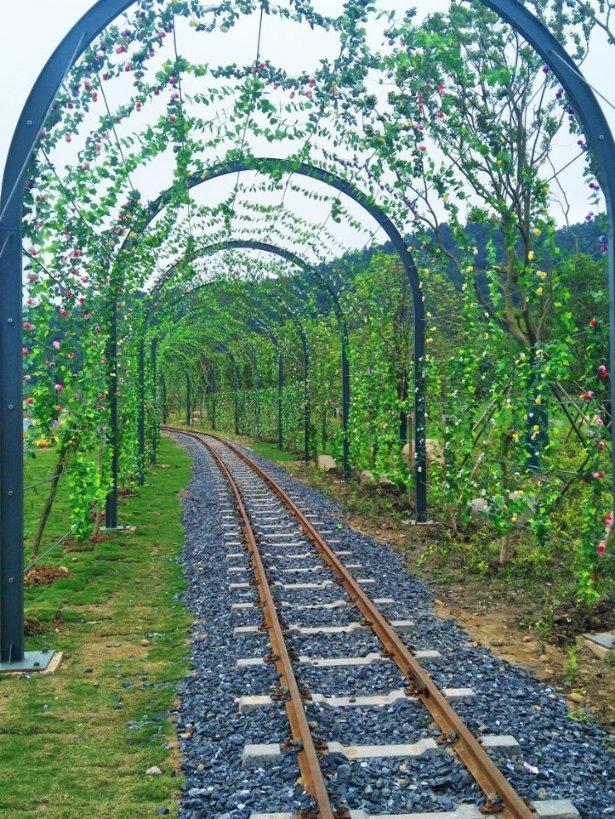 剑刃风暴